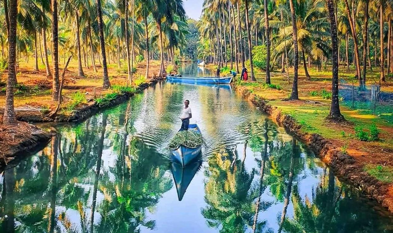 Scenic palm reflections Sharavathi river Honnavar near Gokarna