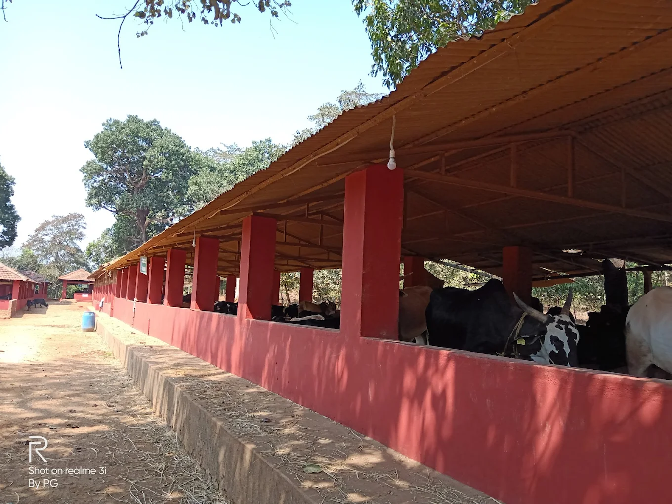 Bharatiya Gobank Hosad Goshala near Gokarna