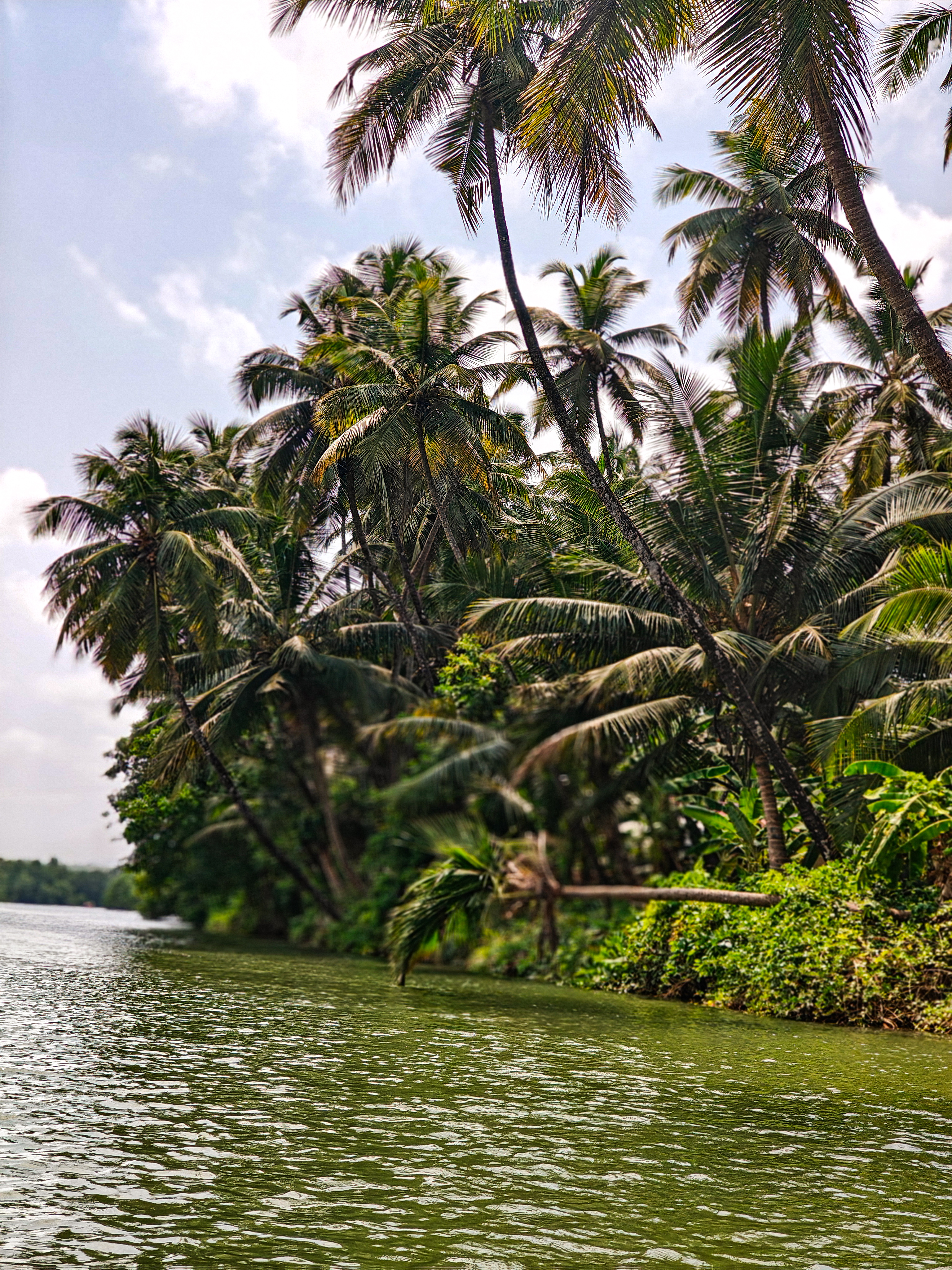 Backwater boating in Honnavar near Gokarna Sharavathi river