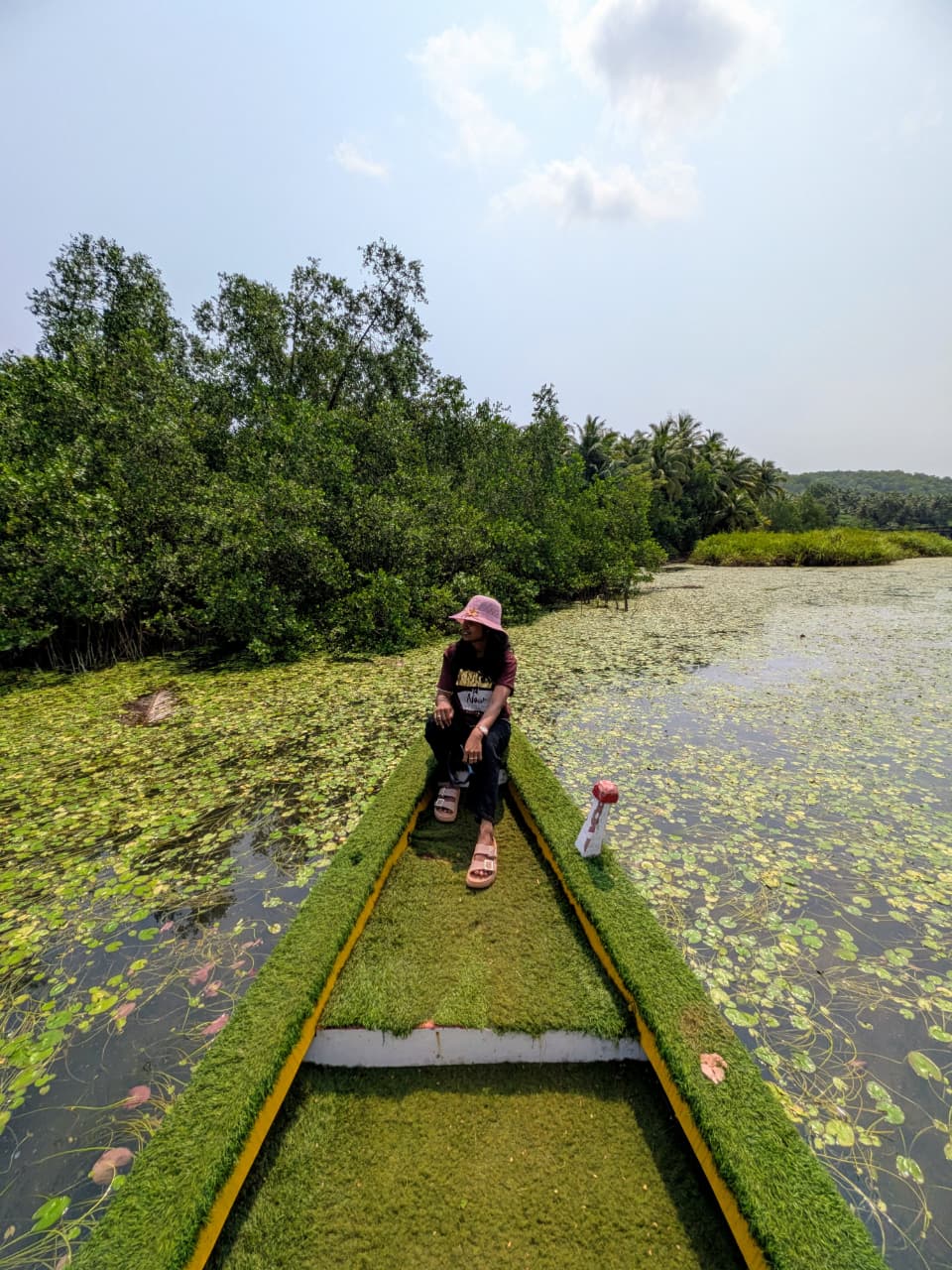 Lotus point Honnavar backwater boating lotus flowers Sharavathi river